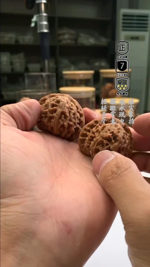 把件文玩核桃066宫灯