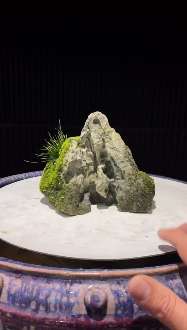 造型吴定石一物一拍专属