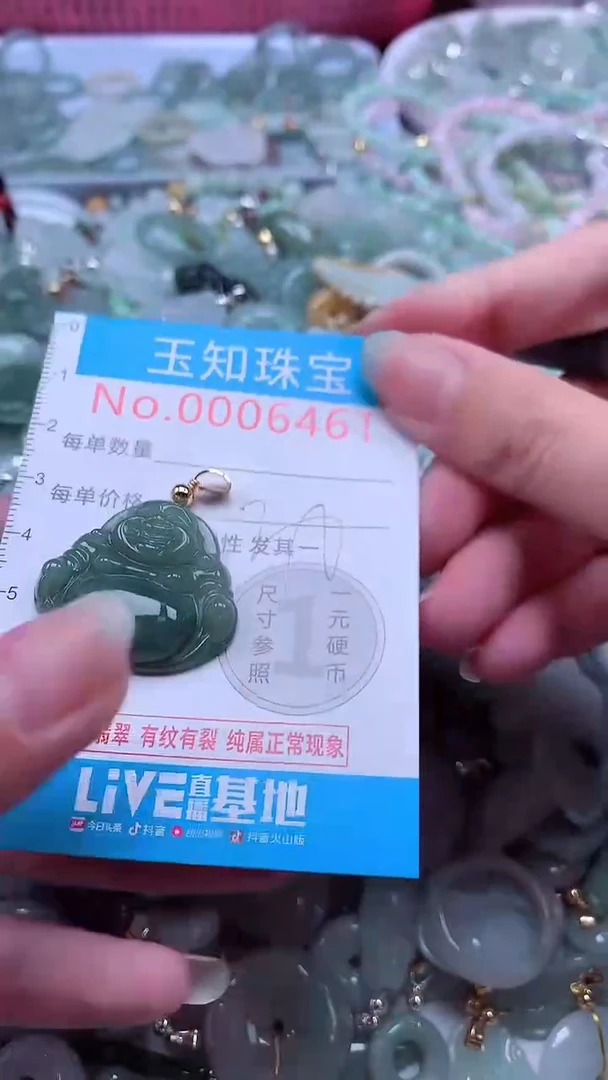 翡翠未镶嵌吊坠(不含链)6461