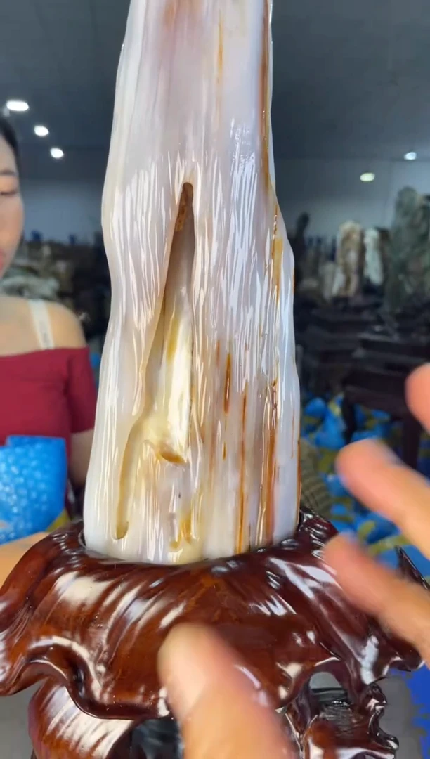 未镶嵌摆件硅化玉31