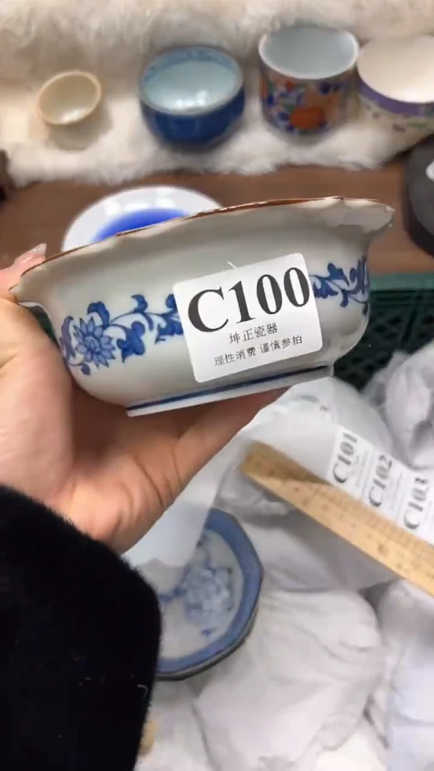 【闪购商品】瓷片          C100