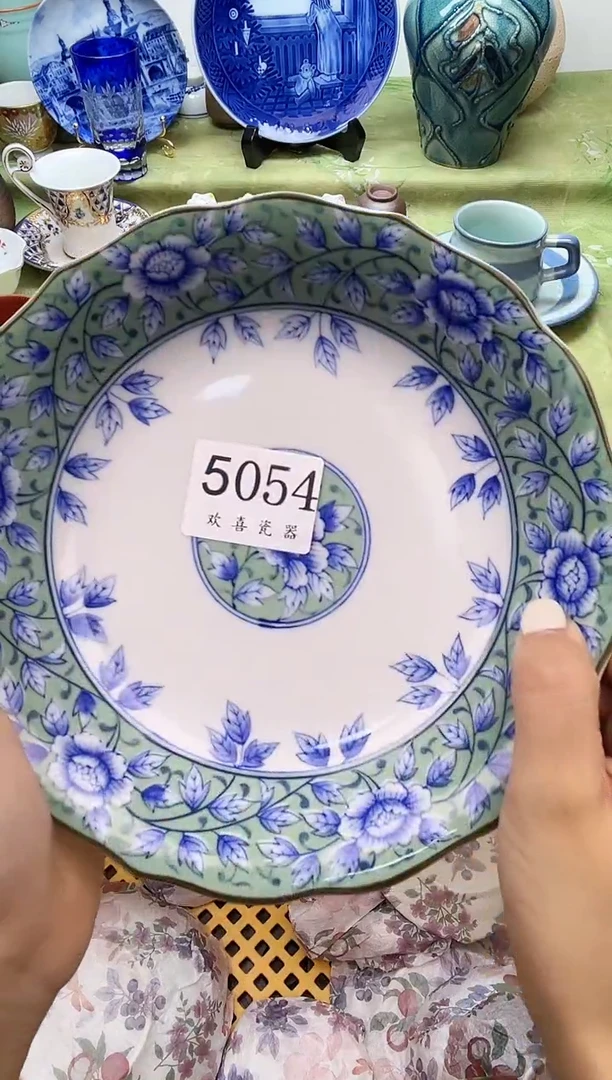 瓷片凝           5054