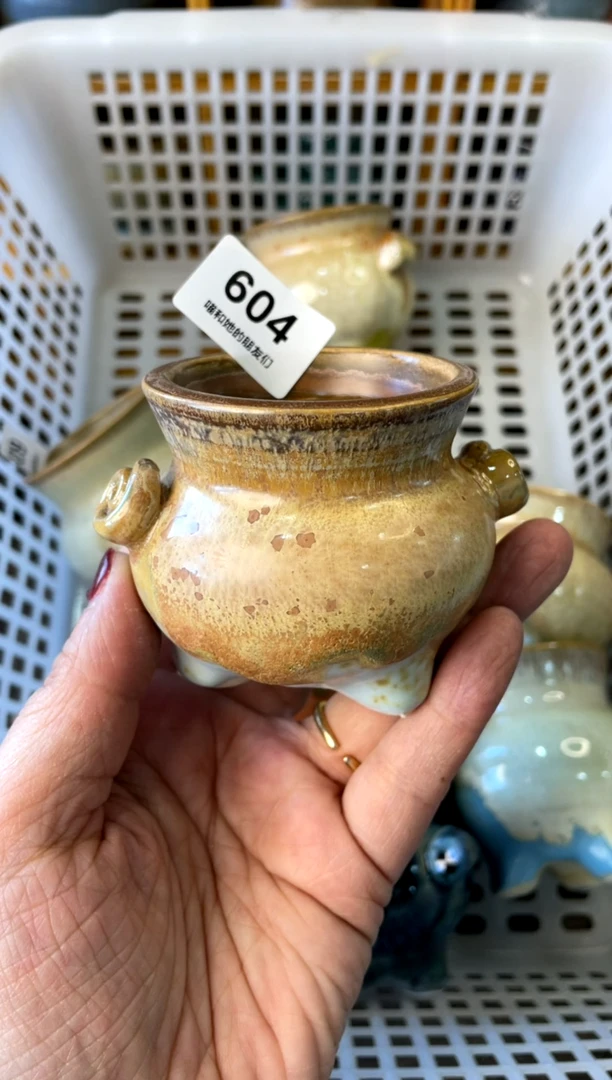 【闪购商品】陶604 内口5.5【喵喵团圆多肉盆】