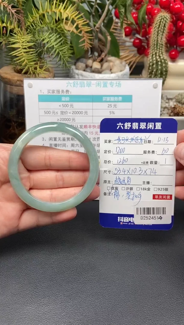 未镶嵌手镯翡翠我****光D2524514