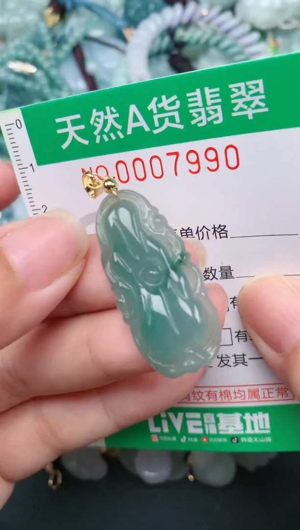 翡翠未镶嵌颈饰.0007990