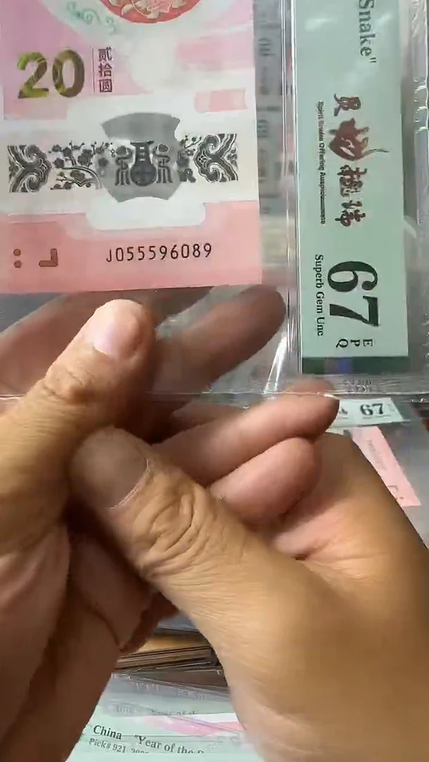 塑料055596089-蛇钞单张