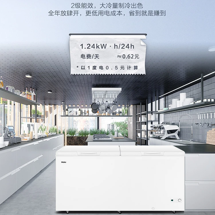 Haier/海尔商用速冻冷柜518升大容量冰柜节能省电100小时断电保护