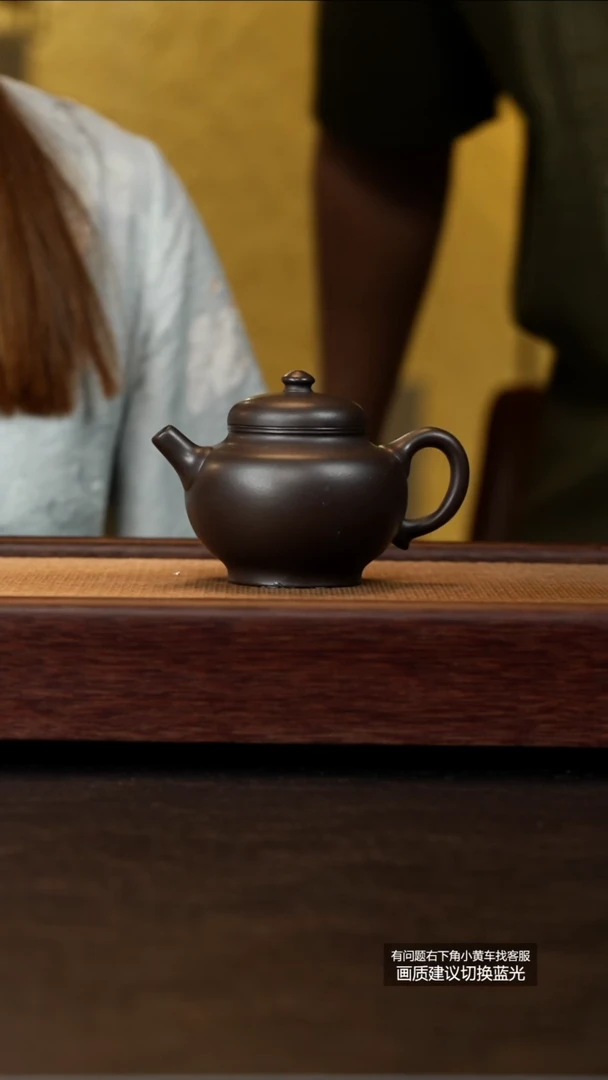 茶壶紫砂蒋蓉陶艺原矿龙山墨朱砂智源