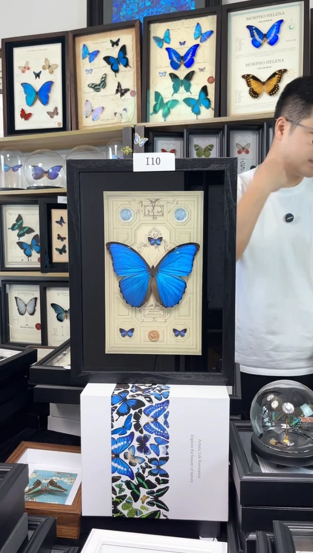 大蓝闪蝶13寸 i10一物一拍