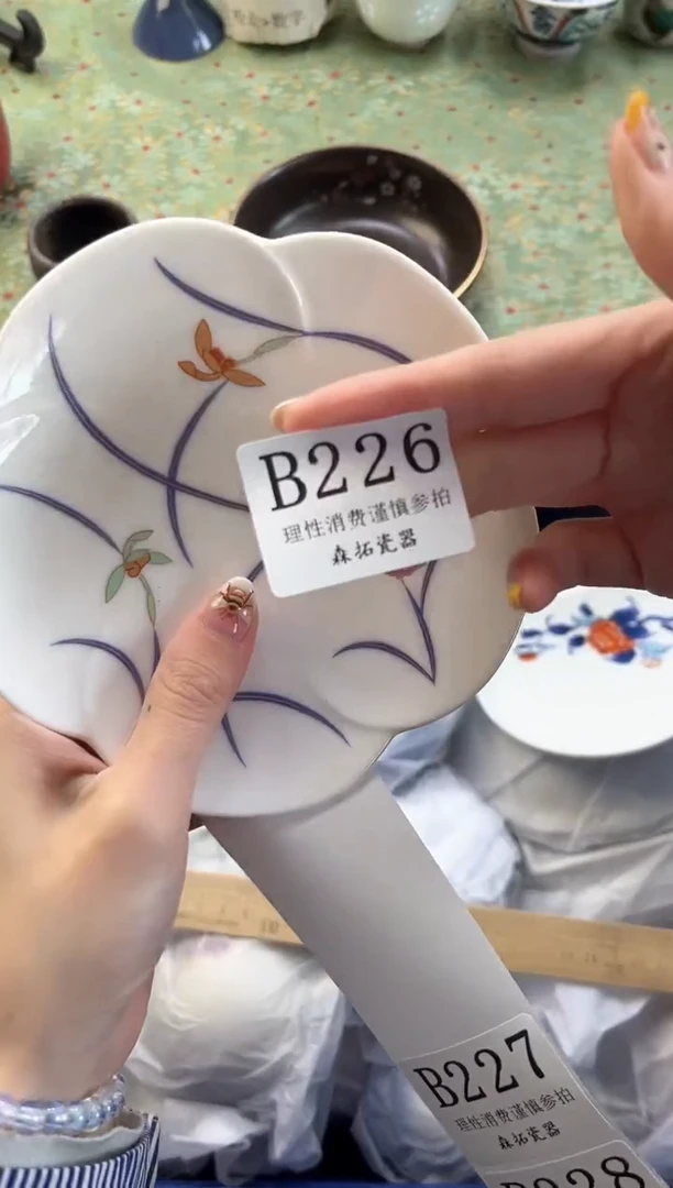 【闪购商品】瓷片          B226