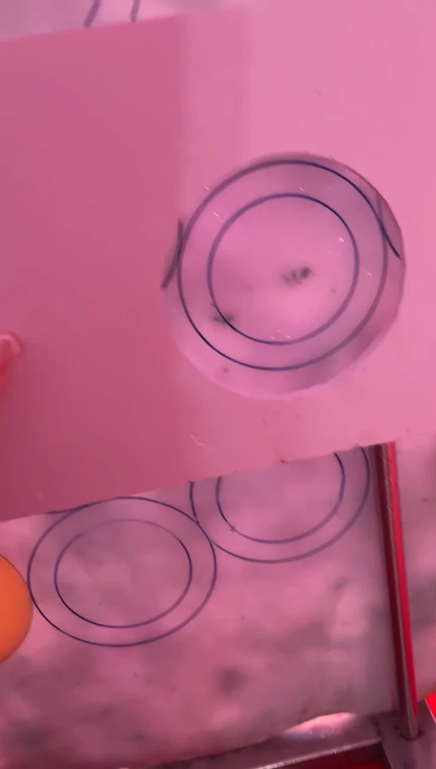 【闪购商品】定制翡翠手镯未镶嵌定制手镯LBFC/DZS