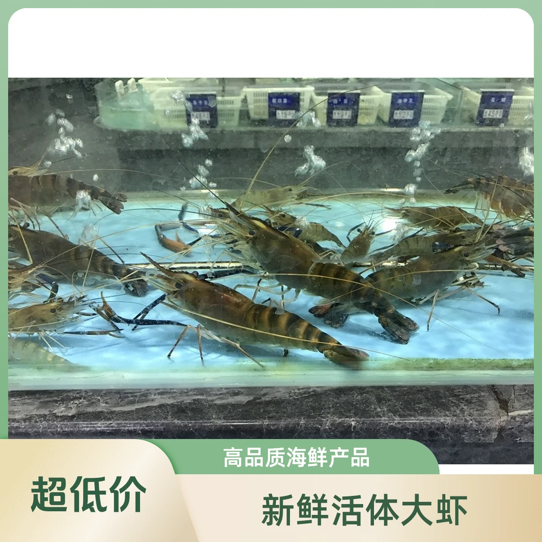 鲜活罗氏虾