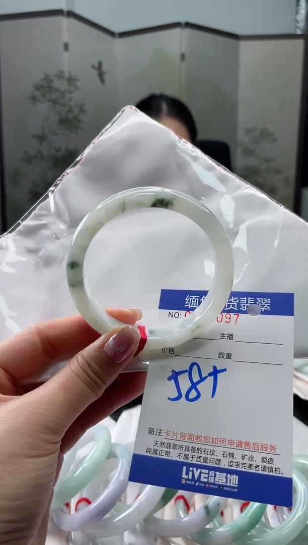 未镶嵌手镯翡翠111