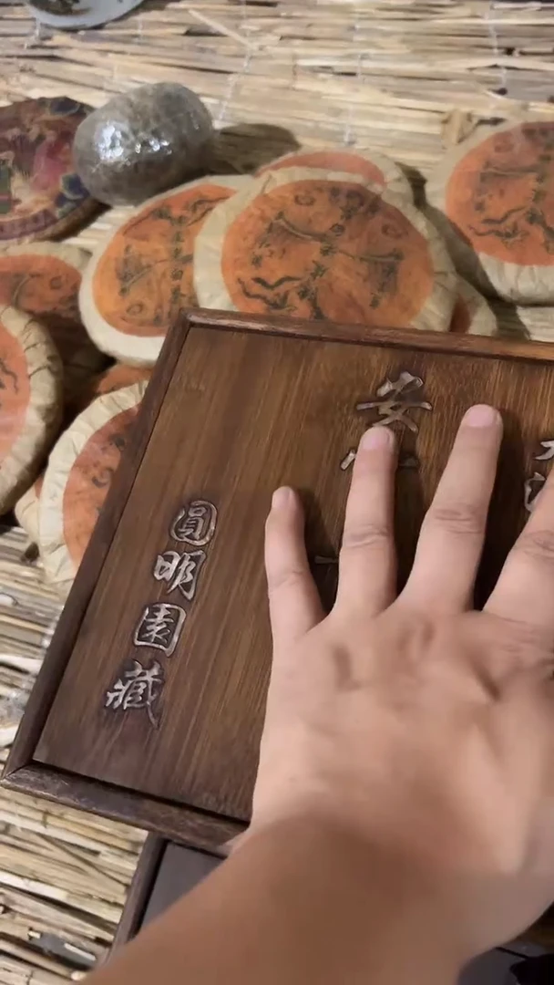 紫砂紫砂紫砂紫砂紫砂紫砂紫砂