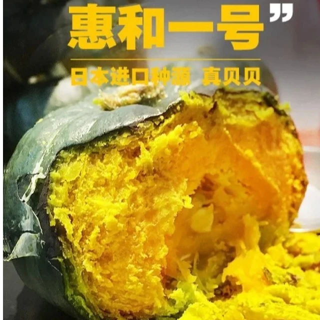 惠和一号南瓜 面甜 缅甸南瓜同城送