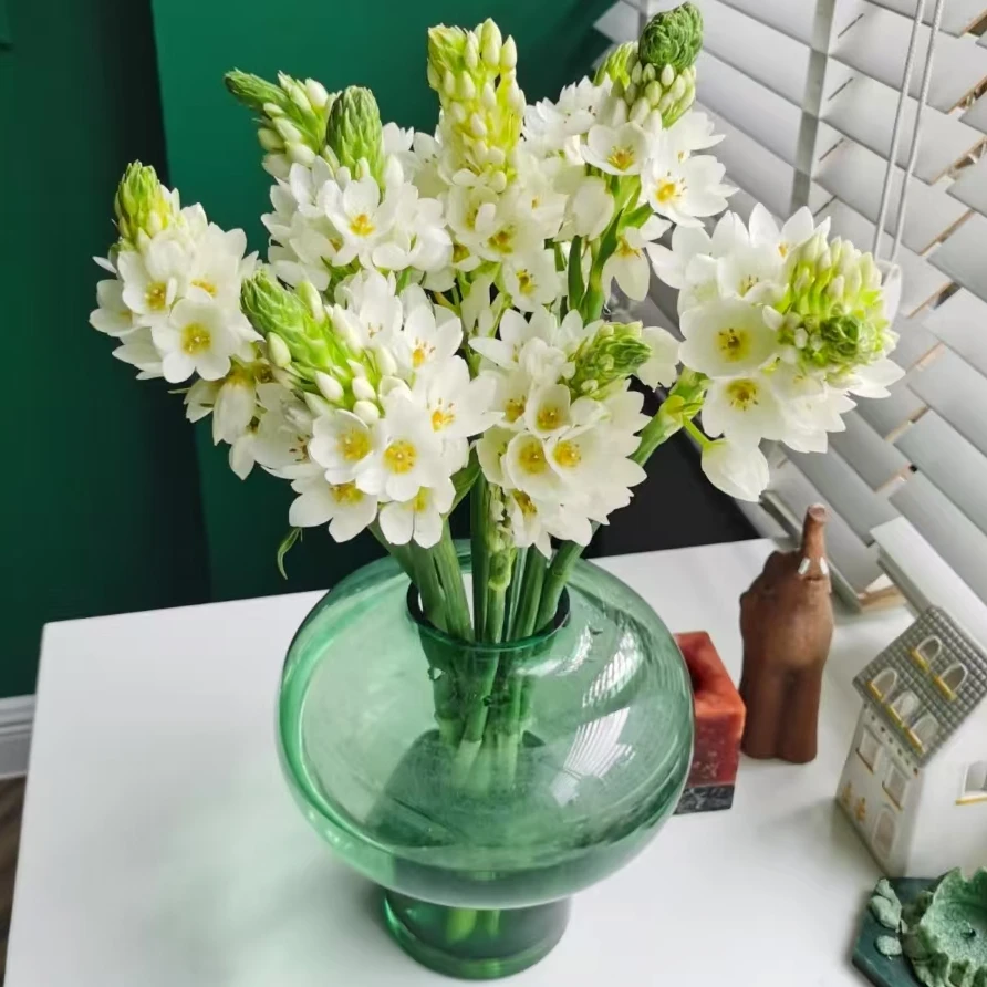 【一品花集】10支【圣心百合】-草花