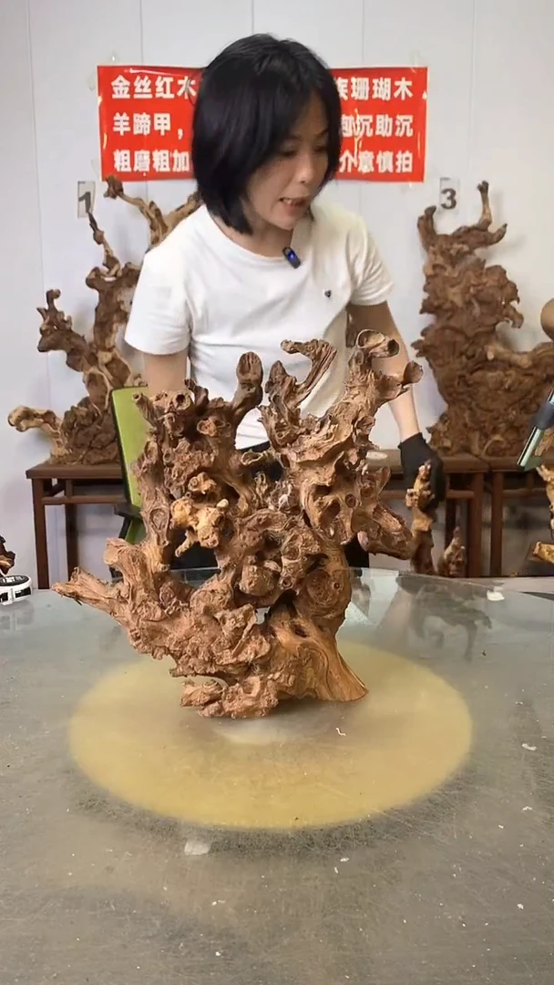 香榧木杨*羊金丝红木 羊蹄甲