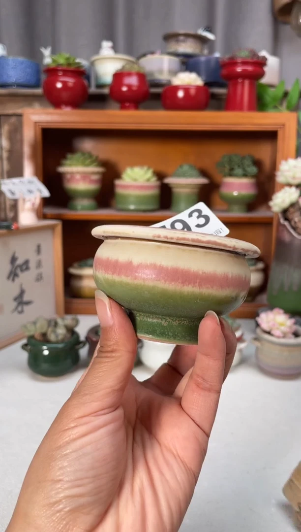 瓷片793小芳直播编号