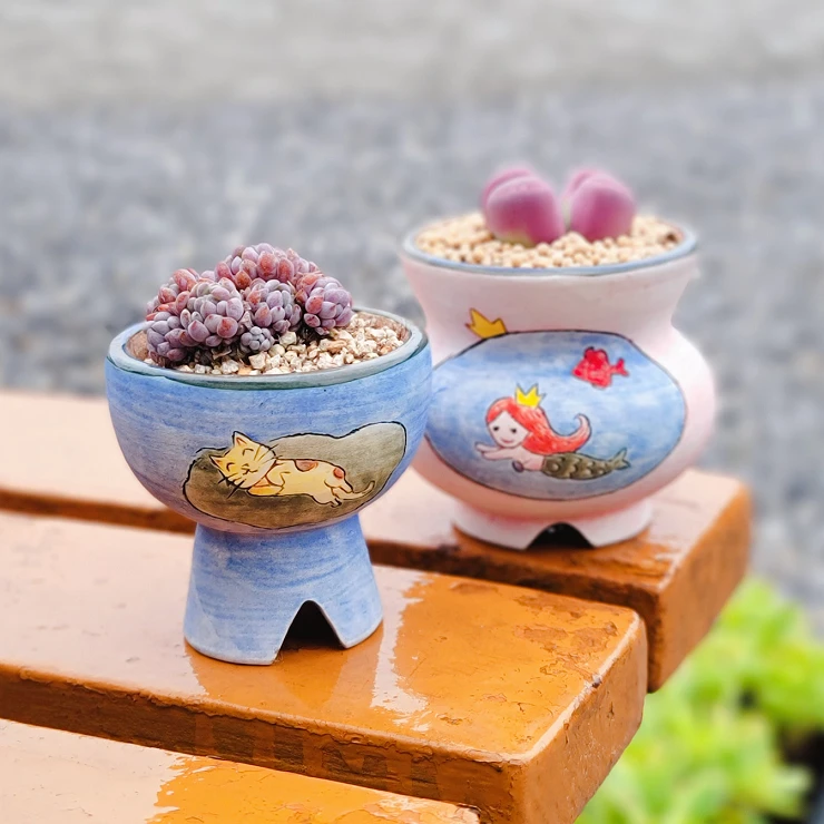 DKD12月19日【金姐妹韩盆多肉】金姐妹进口高端品质手工专用盆