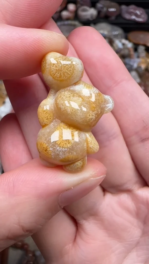 颈饰未镶嵌硅化珊瑚（珊瑚玉）601