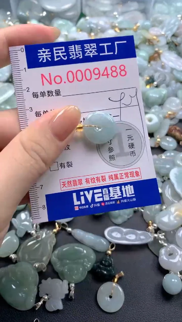 颈饰未镶嵌翡翠9488