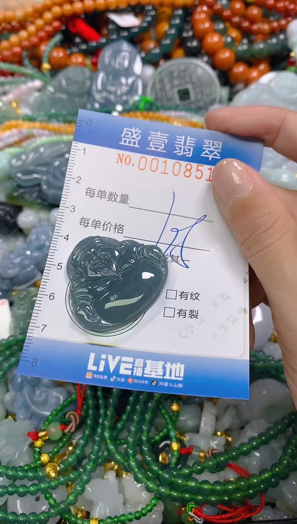 颈饰未镶嵌翡翠闪购0010851