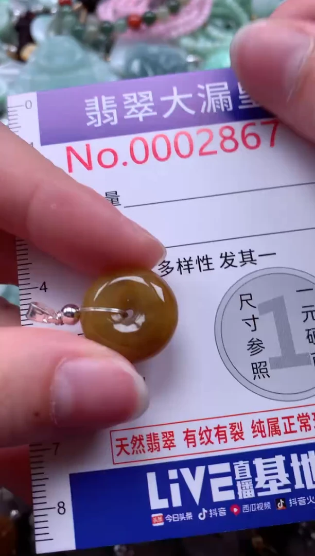 翡翠未镶嵌吊坠(不含链)2867