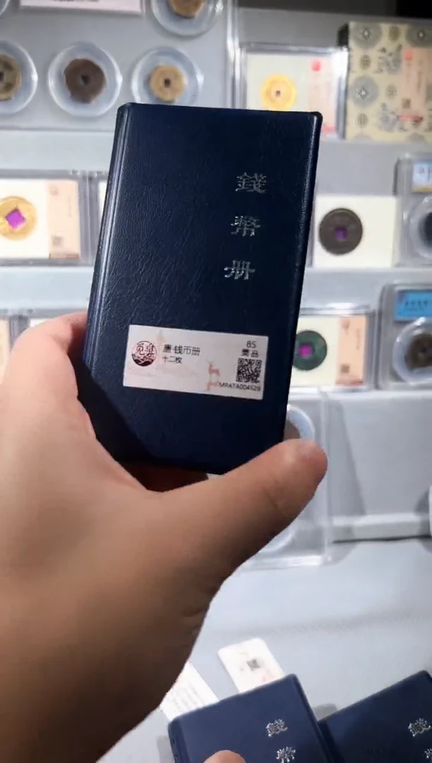 铜带评级 开元钱币册  共12枚 同分择优发