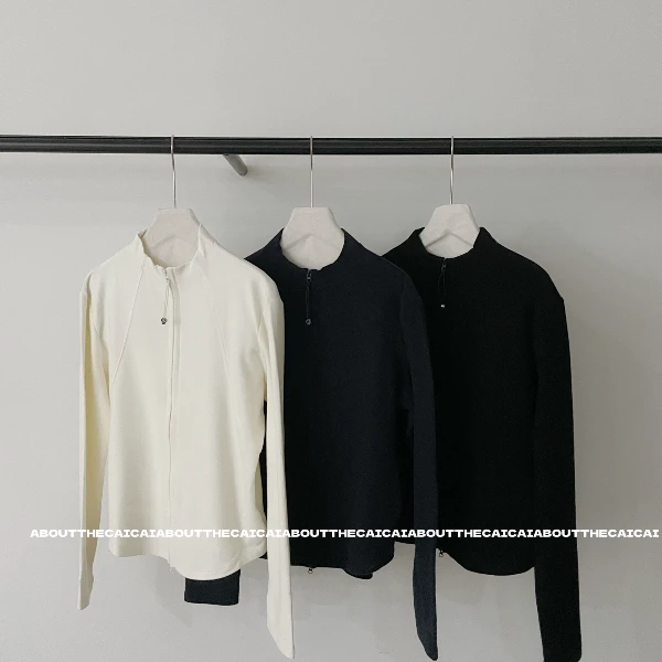 CAICAI双面绒立领保暖卫衣女秋冬加厚韩系简约休闲百搭上衣2622