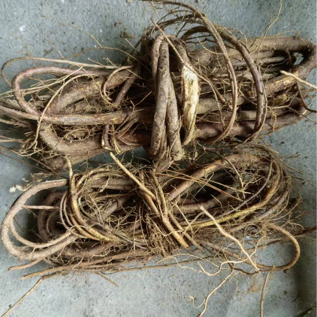 客家野生五指毛桃