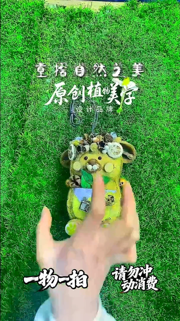 无非金属豆荚娃娃一物一拍