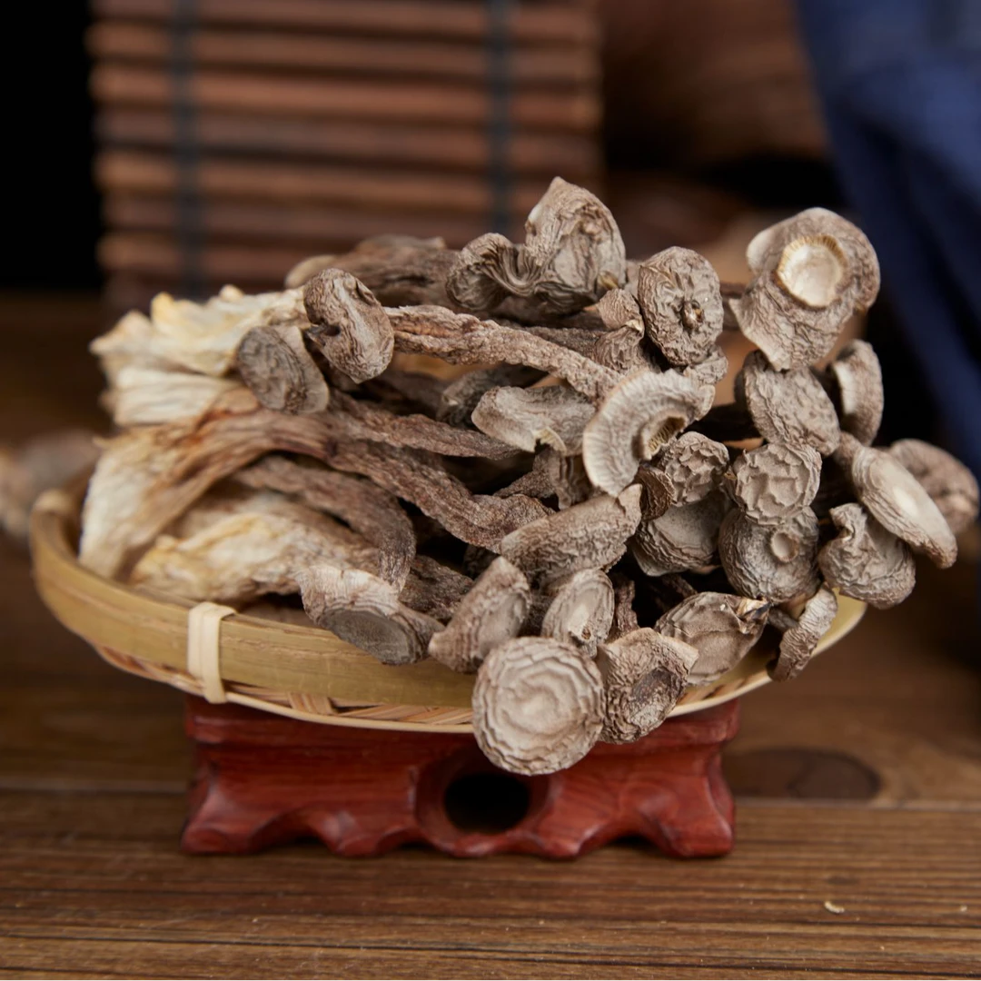 鹿茸菇干货新货高山食用菌可煲汤炒菜的新鲜食材