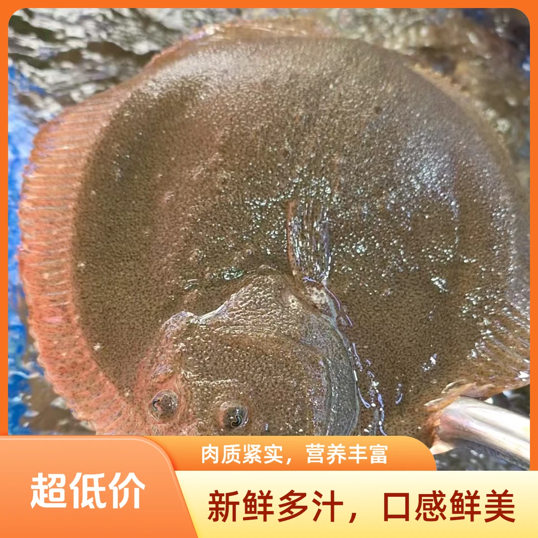 多宝鱼/条  （600g＋）