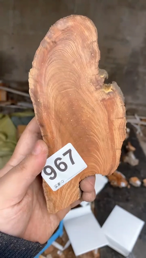 【闪购商品】柏木太行陈化崖柏（津诚林）切片