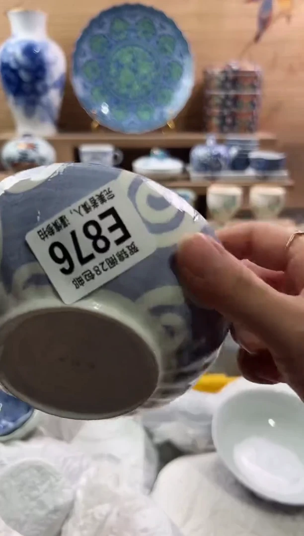 瓷片         E876