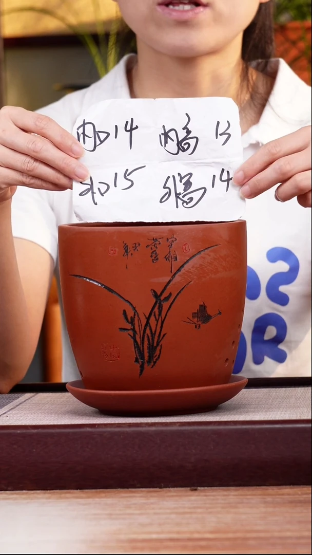 紫砂花盆清水泥君子兰2号一只带托