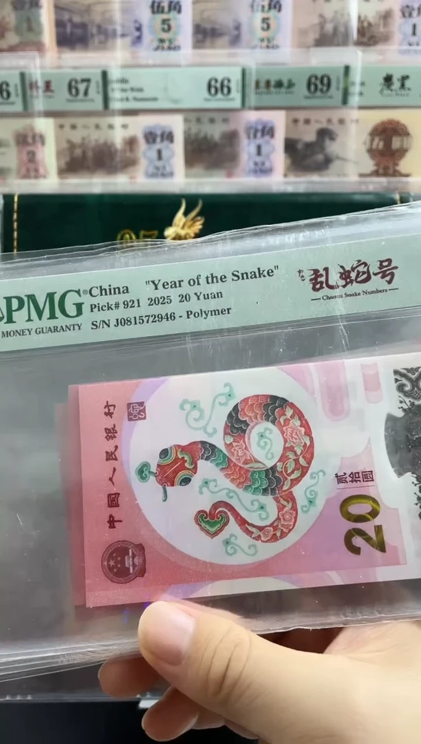 塑料蛇钞如意乱蛇号68分