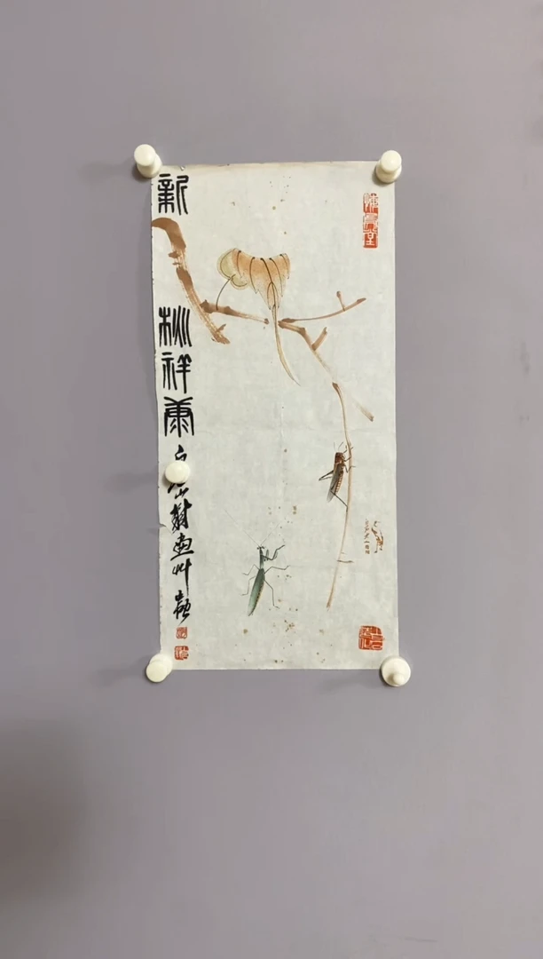 望*山永高商品专属链接 晶