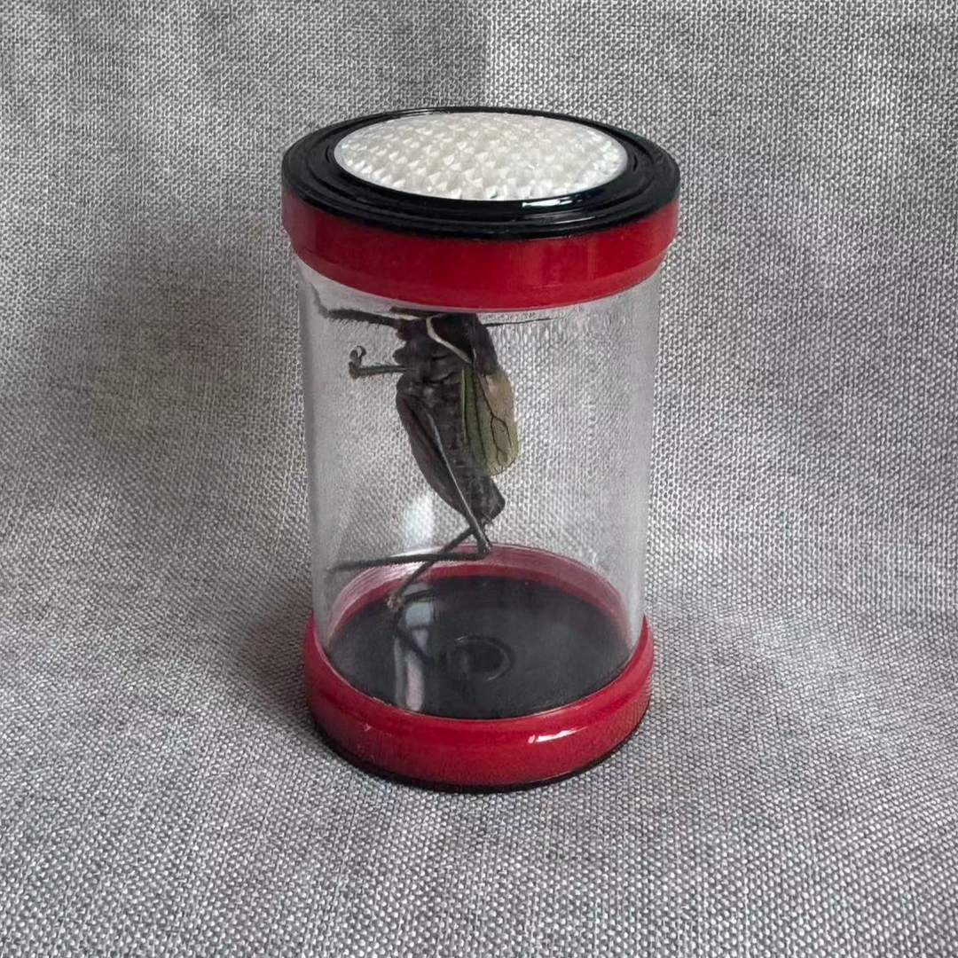 蝈蝈叫罐有亚克力＋铁皮蝈蝈（顺丰包邮 偏远地区不包）