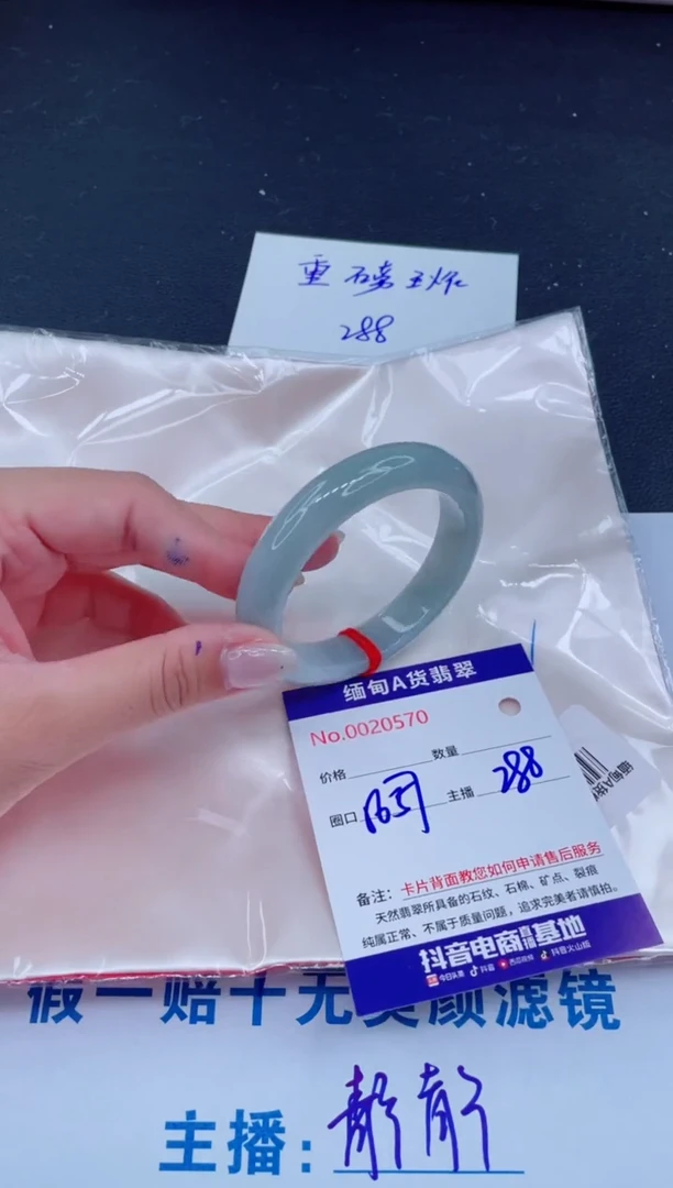 未镶嵌手镯翡翠288