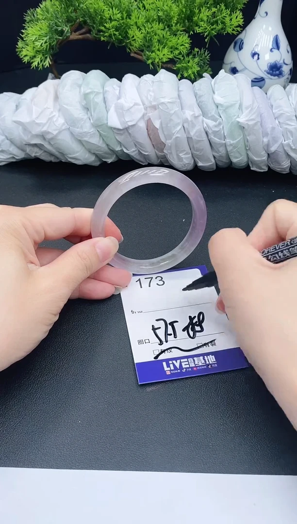 未镶嵌手镯翡翠173