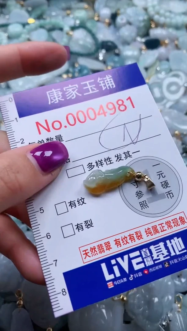 颈饰未镶嵌翡翠4981
