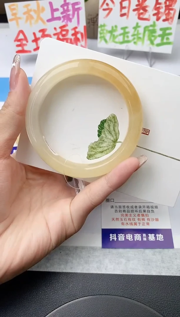 未镶嵌手镯石英质玉j176-HB多样性发货57+