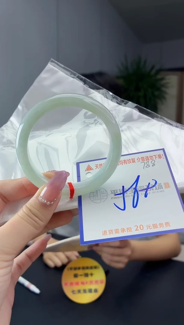 未镶嵌手镯翡翠1111111111