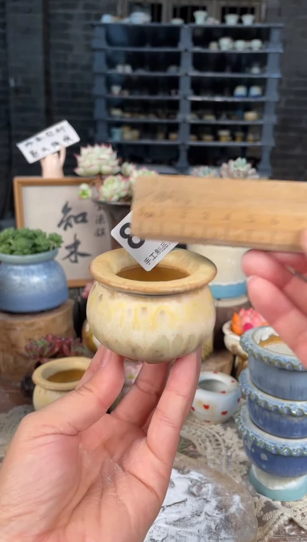 瓷片834知木小芳花盆直播编号