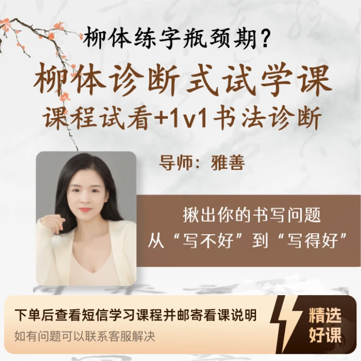 柳体楷书诊断式试学课：课程试看+1v1书法诊断（留意短信解锁课程）