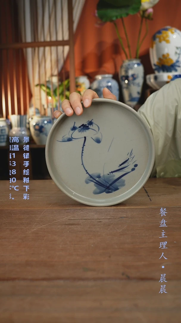 瓷片【简家甄选】景德镇设计师釉下手绘陶瓷餐具