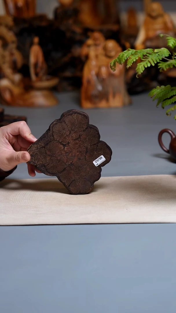 木九龙藤一片1061.