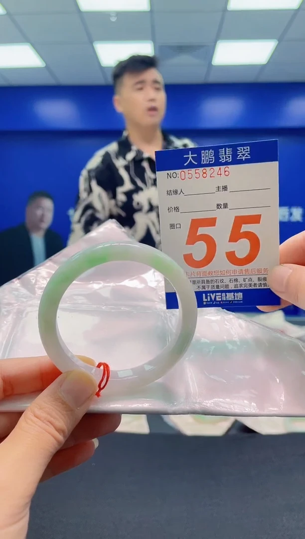 未镶嵌手镯翡翠AAAAAAAAA