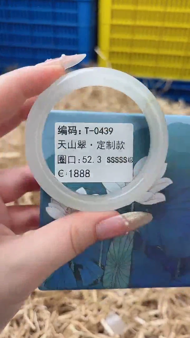 未镶嵌手镯石英质玉T-0439